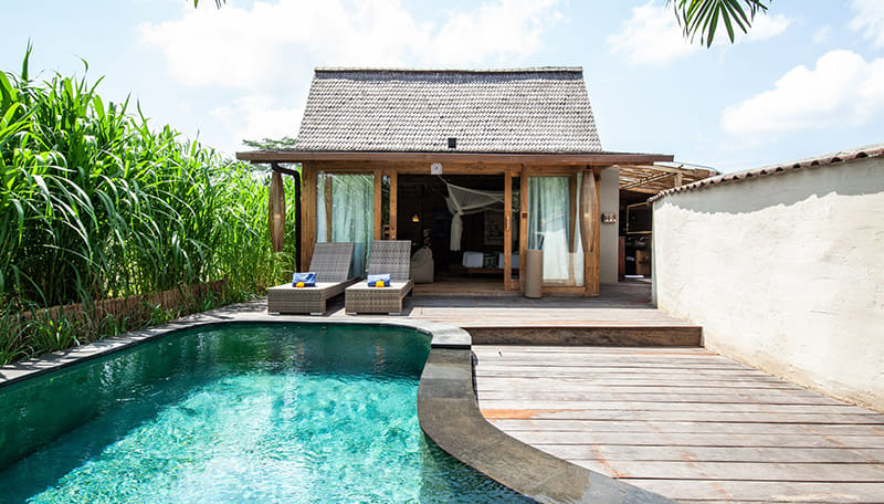 Blue Karma Dijiwa Ubud Zimmer 2